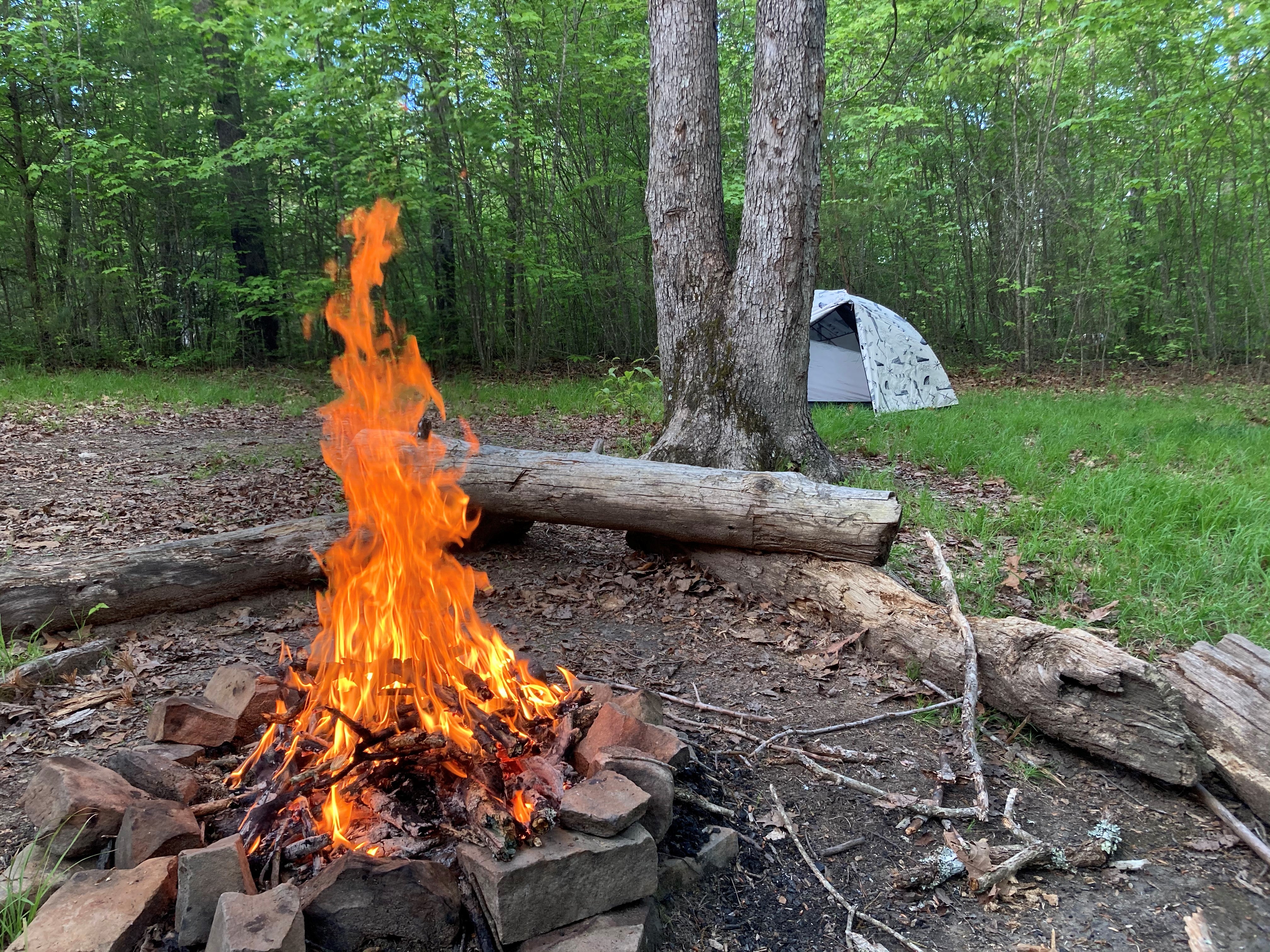 A simple guide to Leave No Trace when day hiking