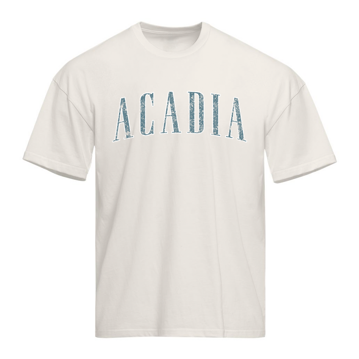 Acadia NP Heavyweight Relaxed Tee - Bone