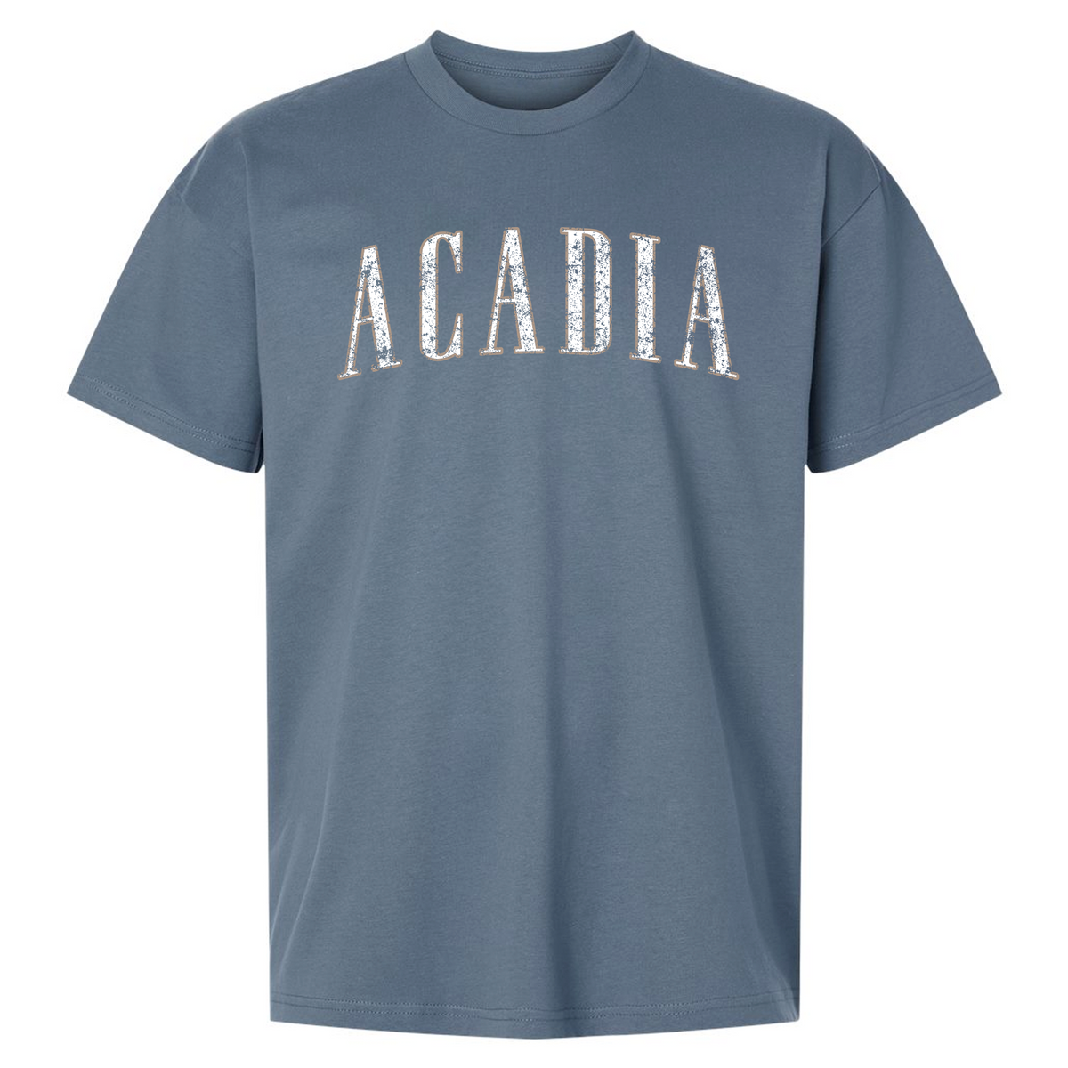 Acadia NP Heavyweight Relaxed Tee - Storm Blue