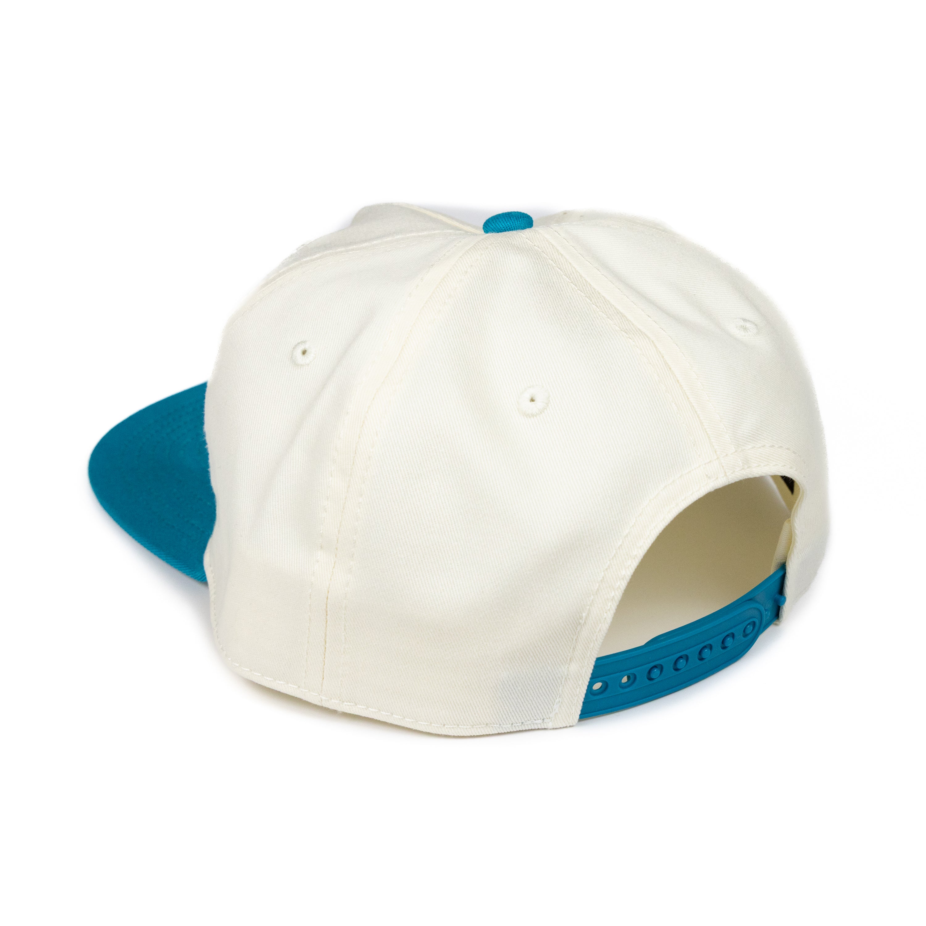 Retro Mountain Classic Snapback Hat