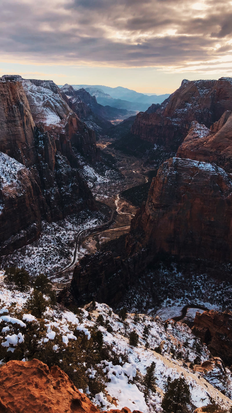 FREE Wallpaper